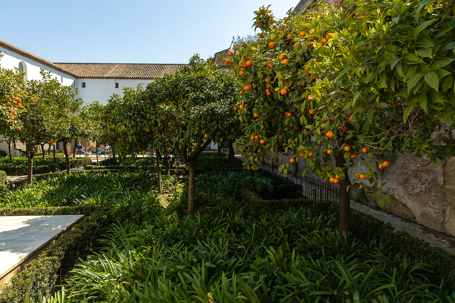 Alcazar de Córdoba