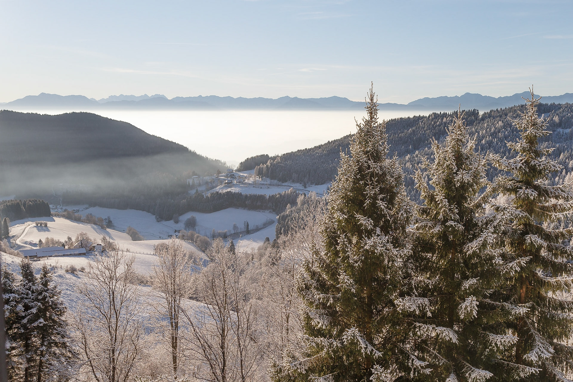 Simonhöhe bei Sankt Urban / Kärnten / Österreich
