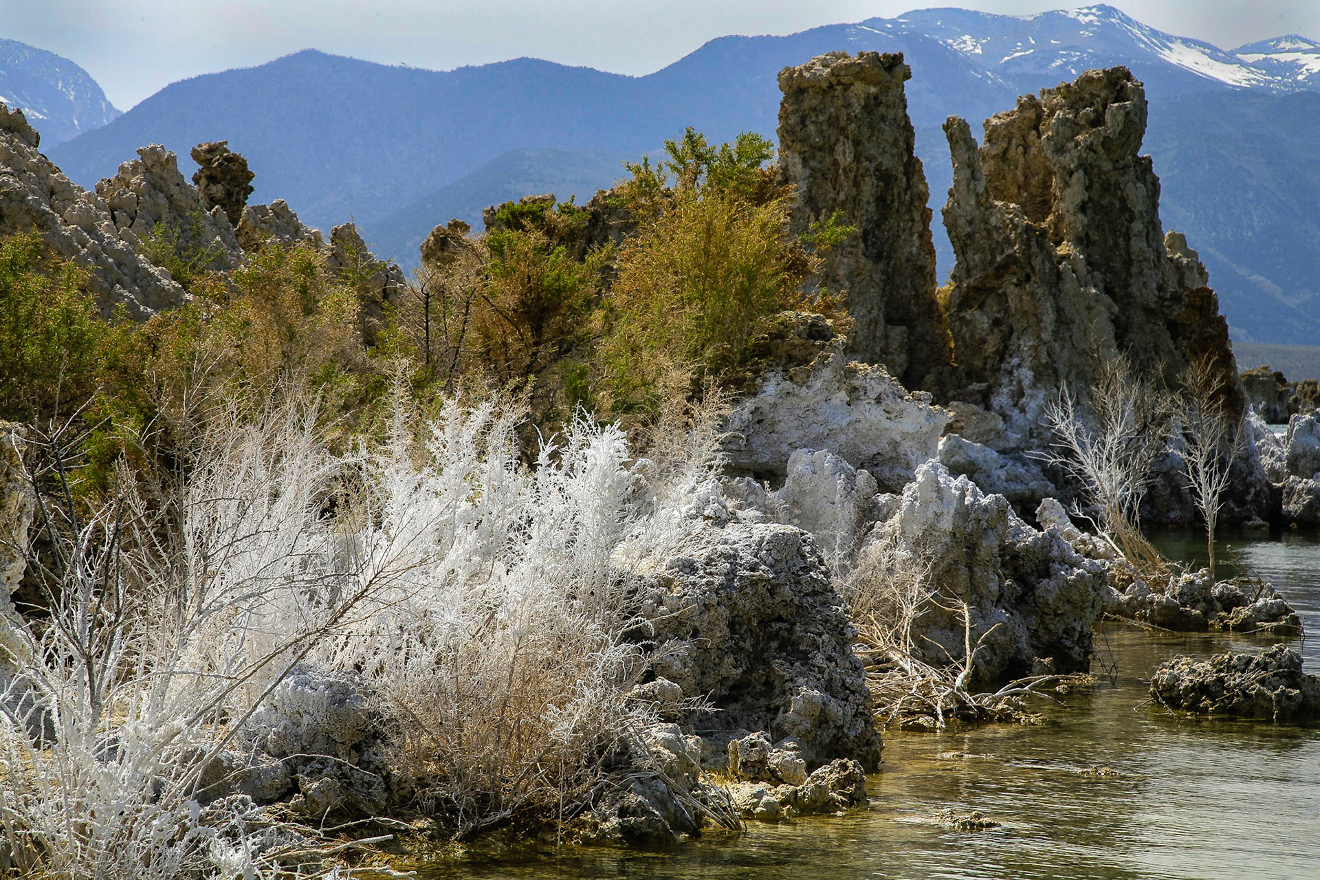 Nahe Lee Vining, California / USA