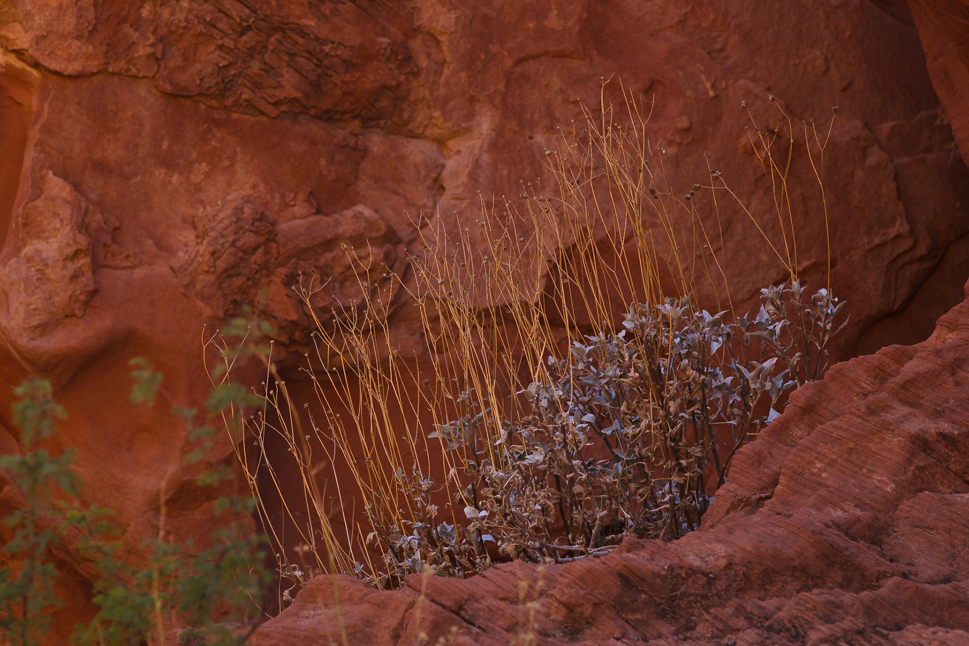 Valley of Fire