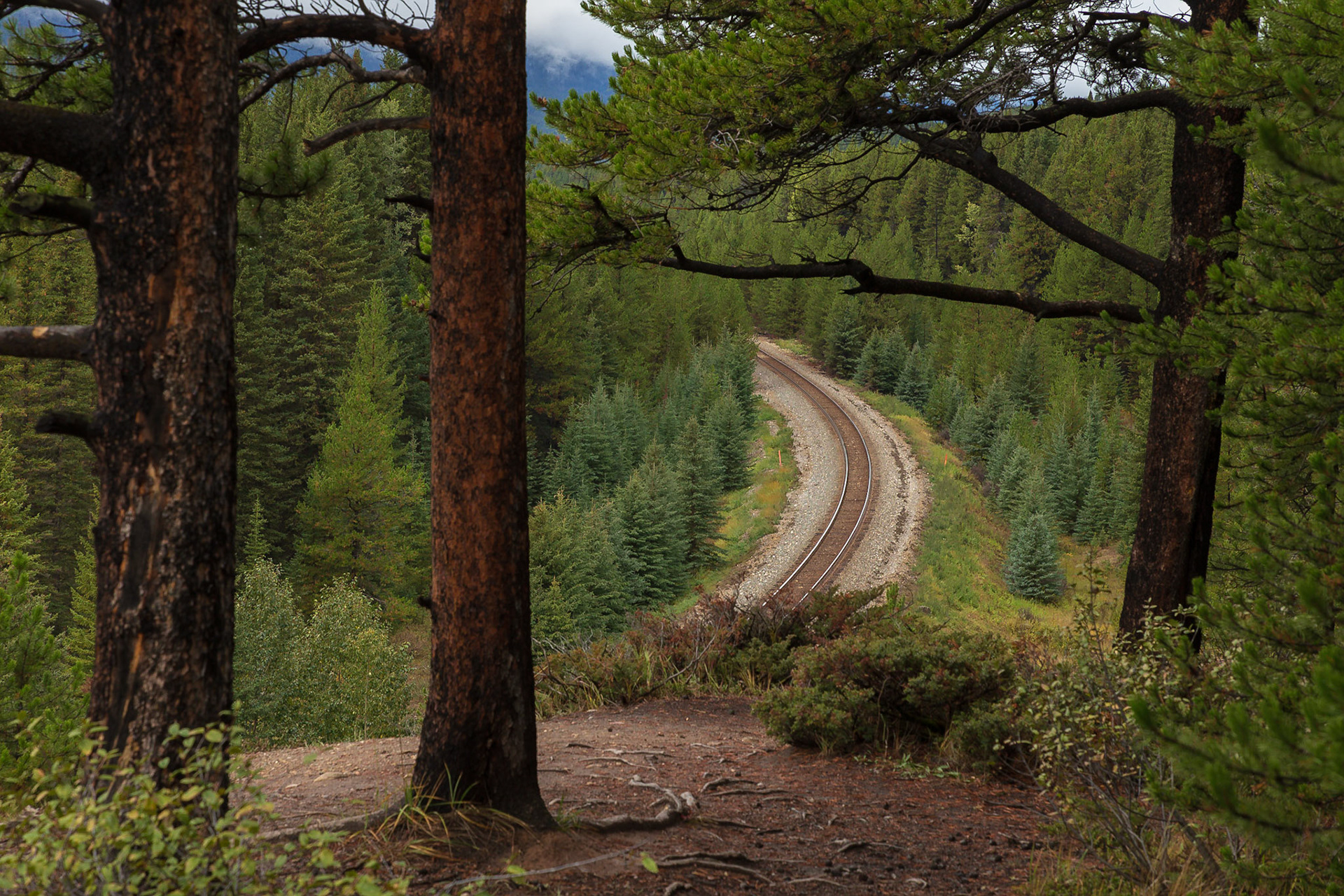 Von Banff nach Lake Louise - rechts und links des Hwy 1A