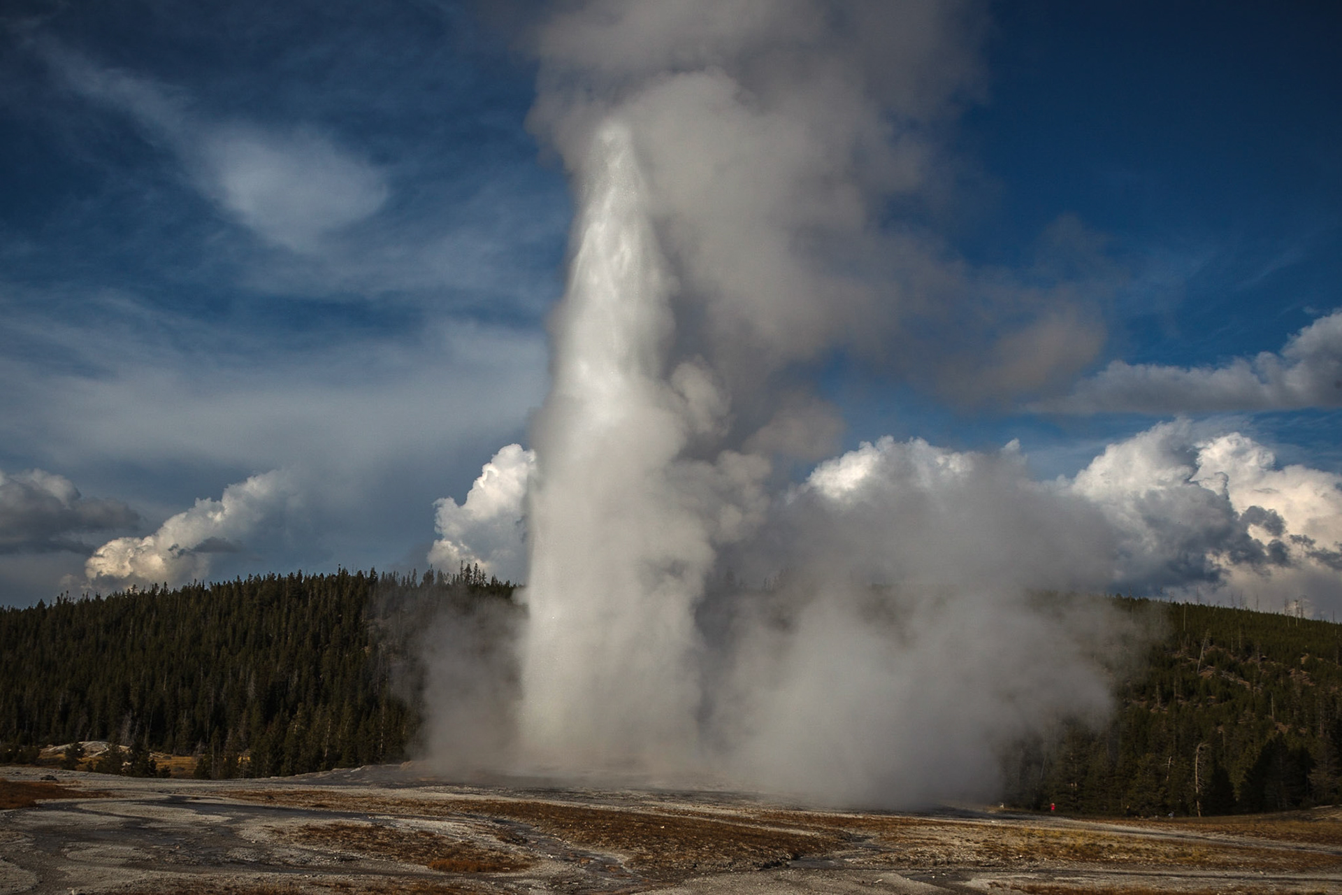 Old Faithful