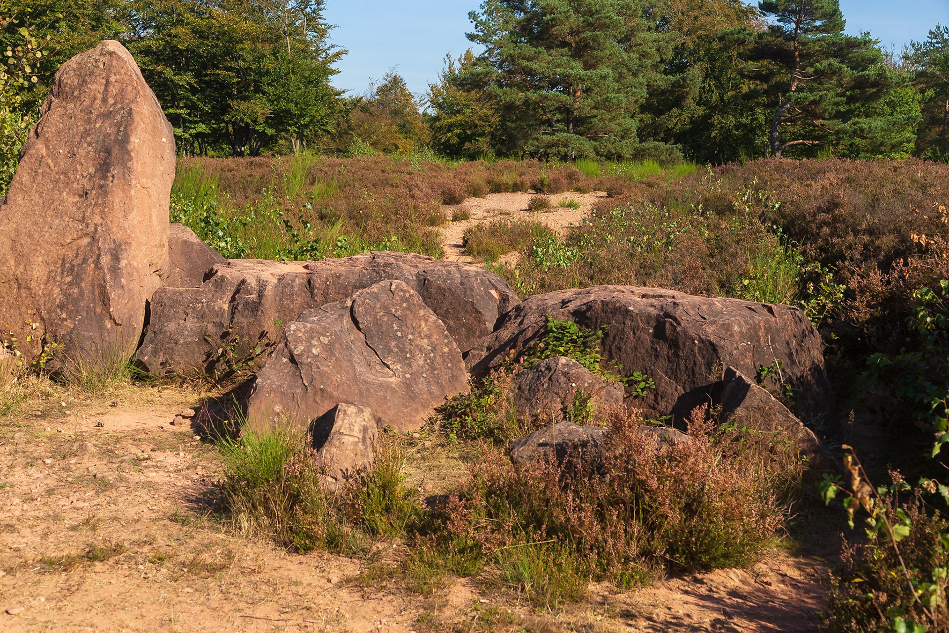 Mehlinger Heide