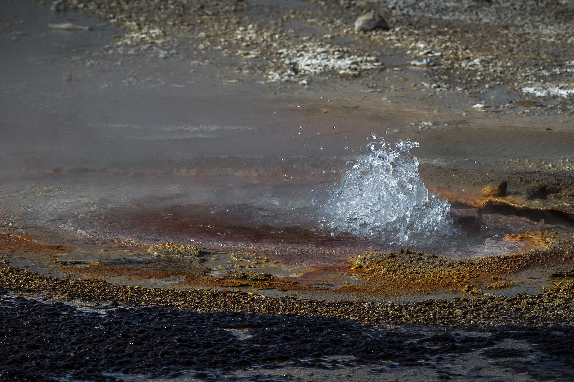 Yellowstone - Variationen
