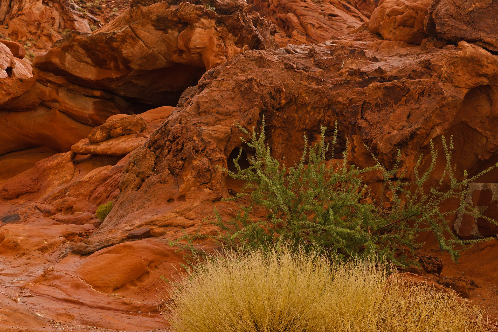 Valley of Fire