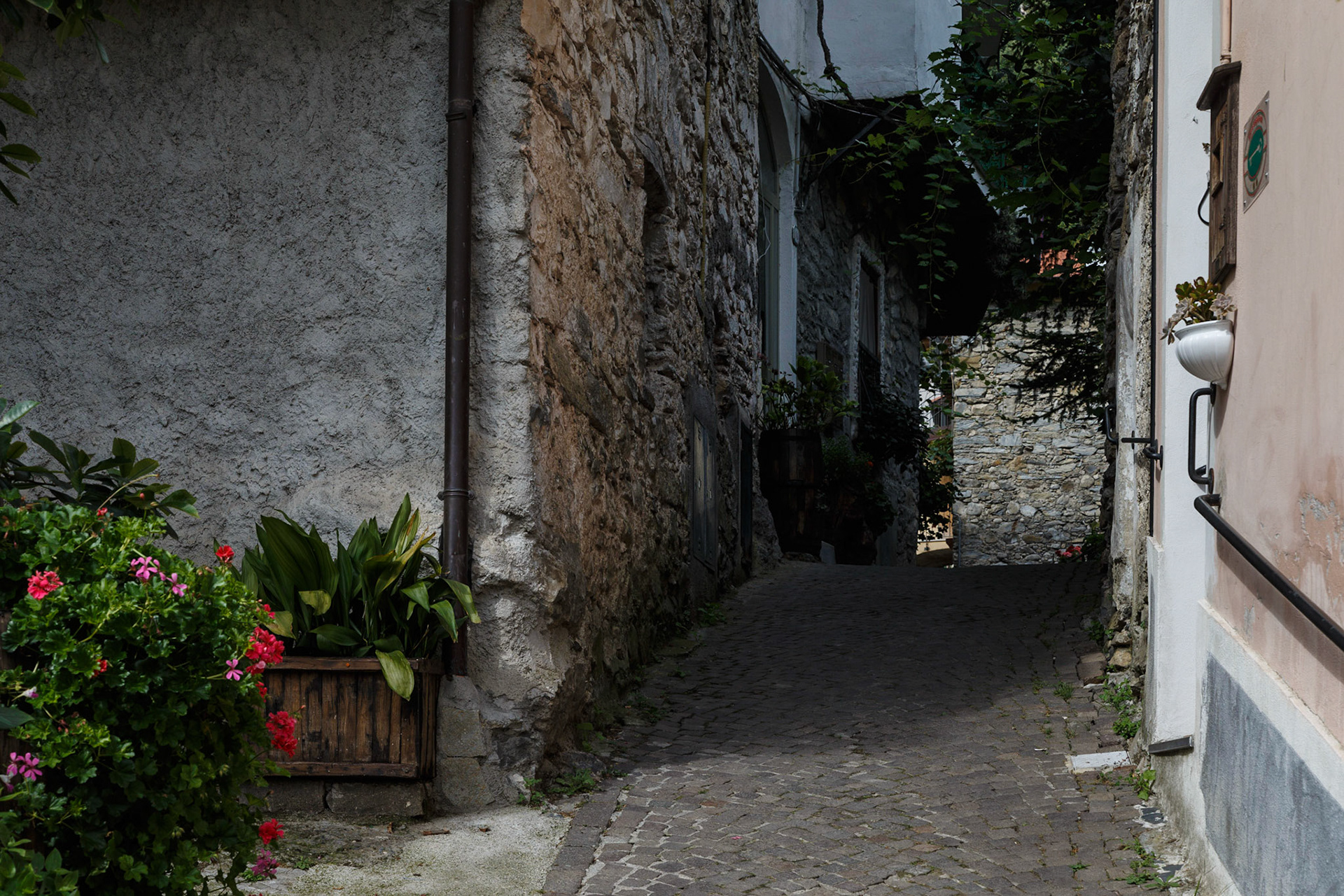 Rocchetta Nervina