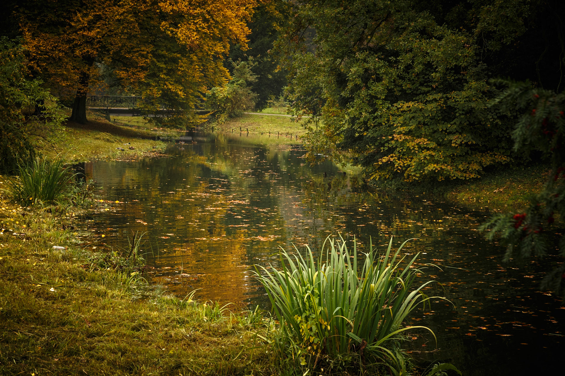 Herbstlicher Schlosspark Sanssouci