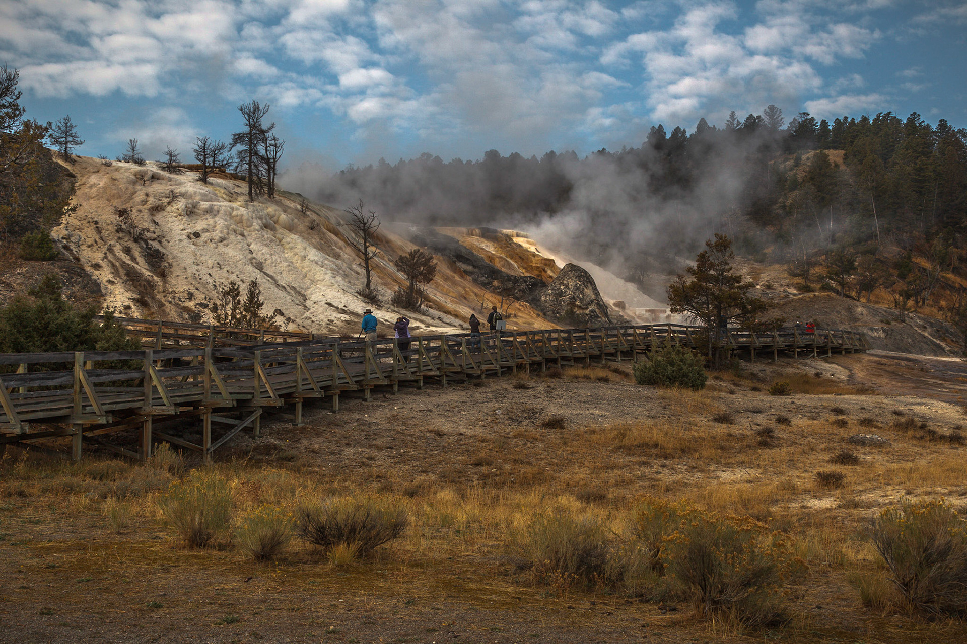 Mammoth Hot Springs