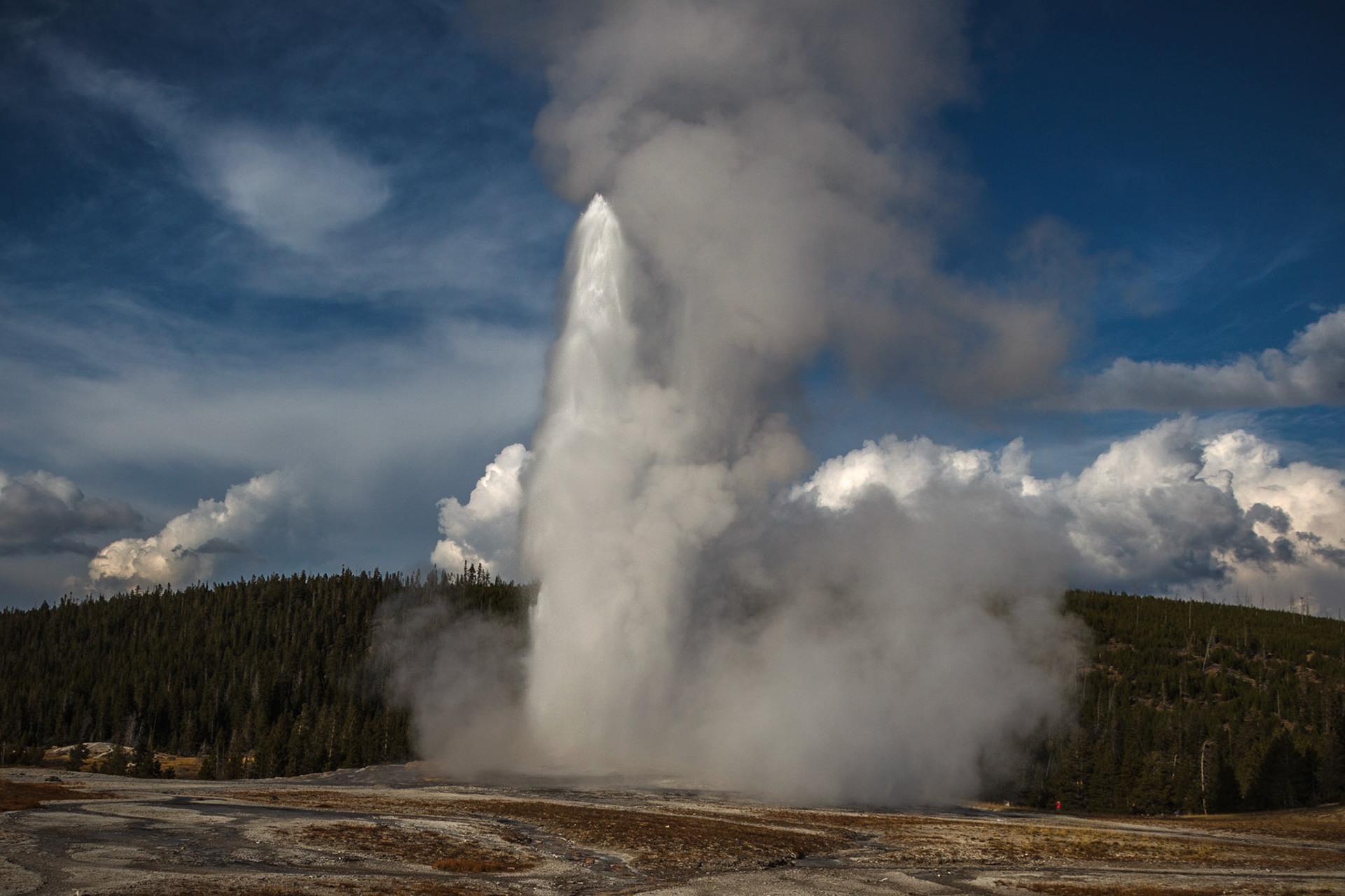 Old Faithful