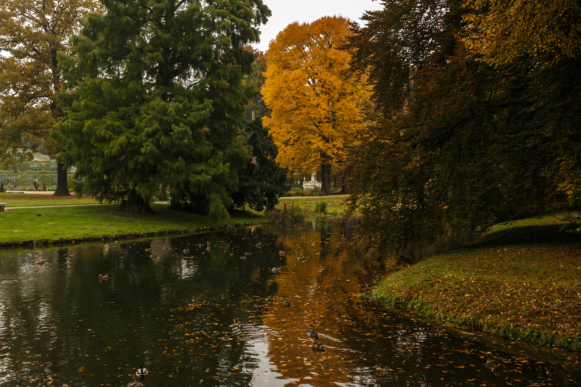 Herbstlicher Schlosspark Sanssouci