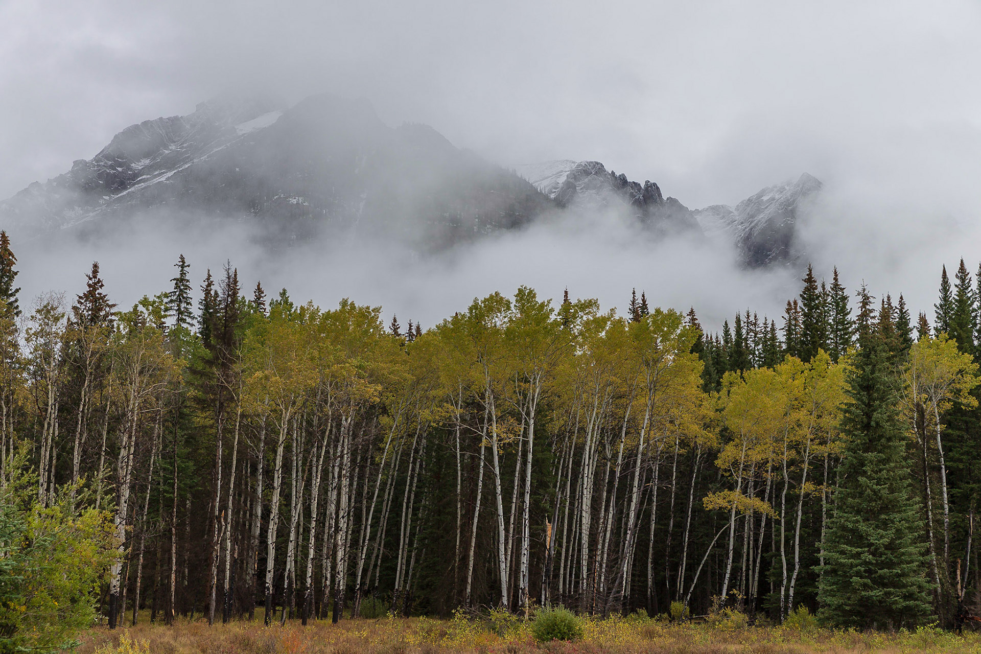 Von Banff nach Lake Louise - rechts und links des Hwy 1A