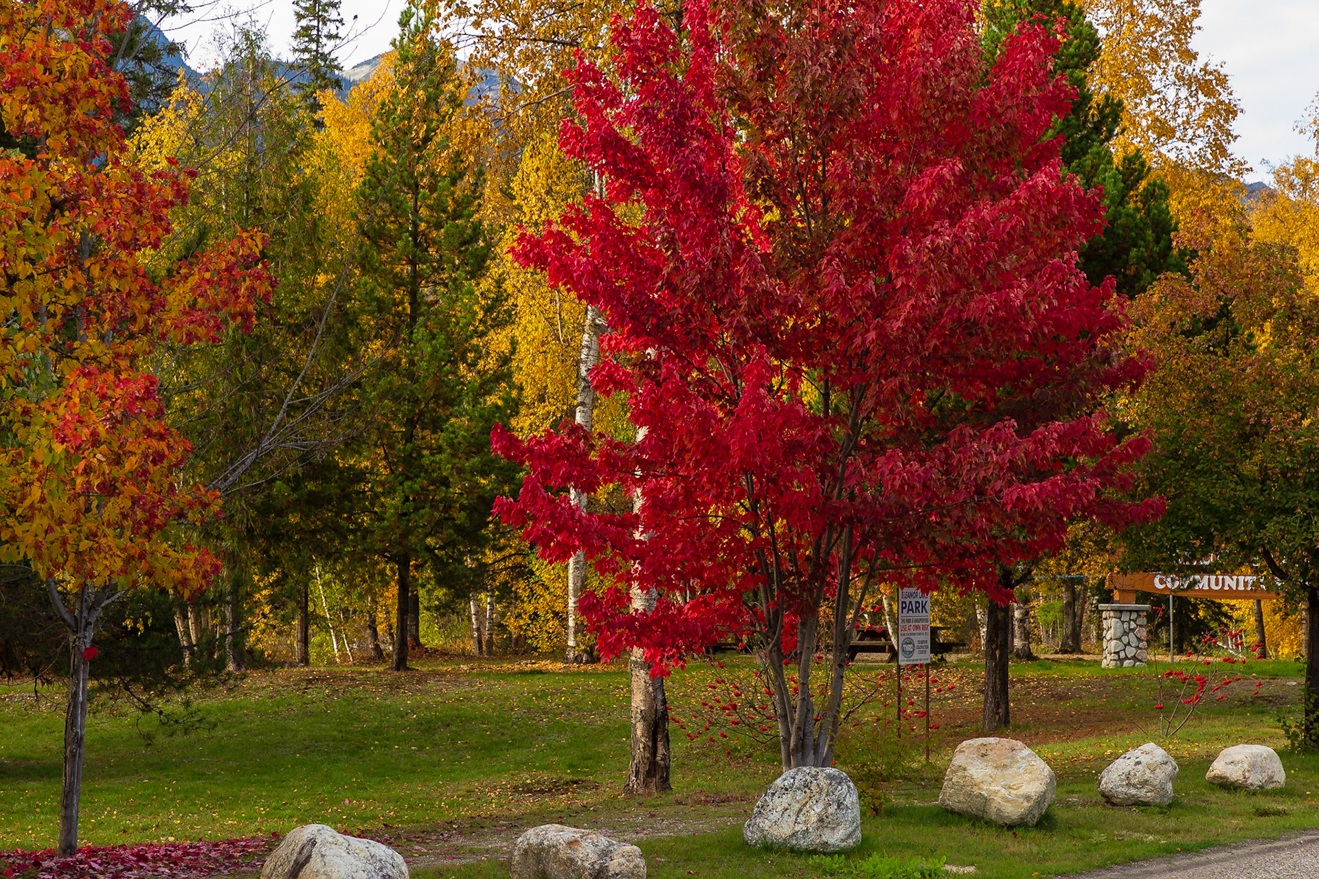 Herbst in Kanada BC