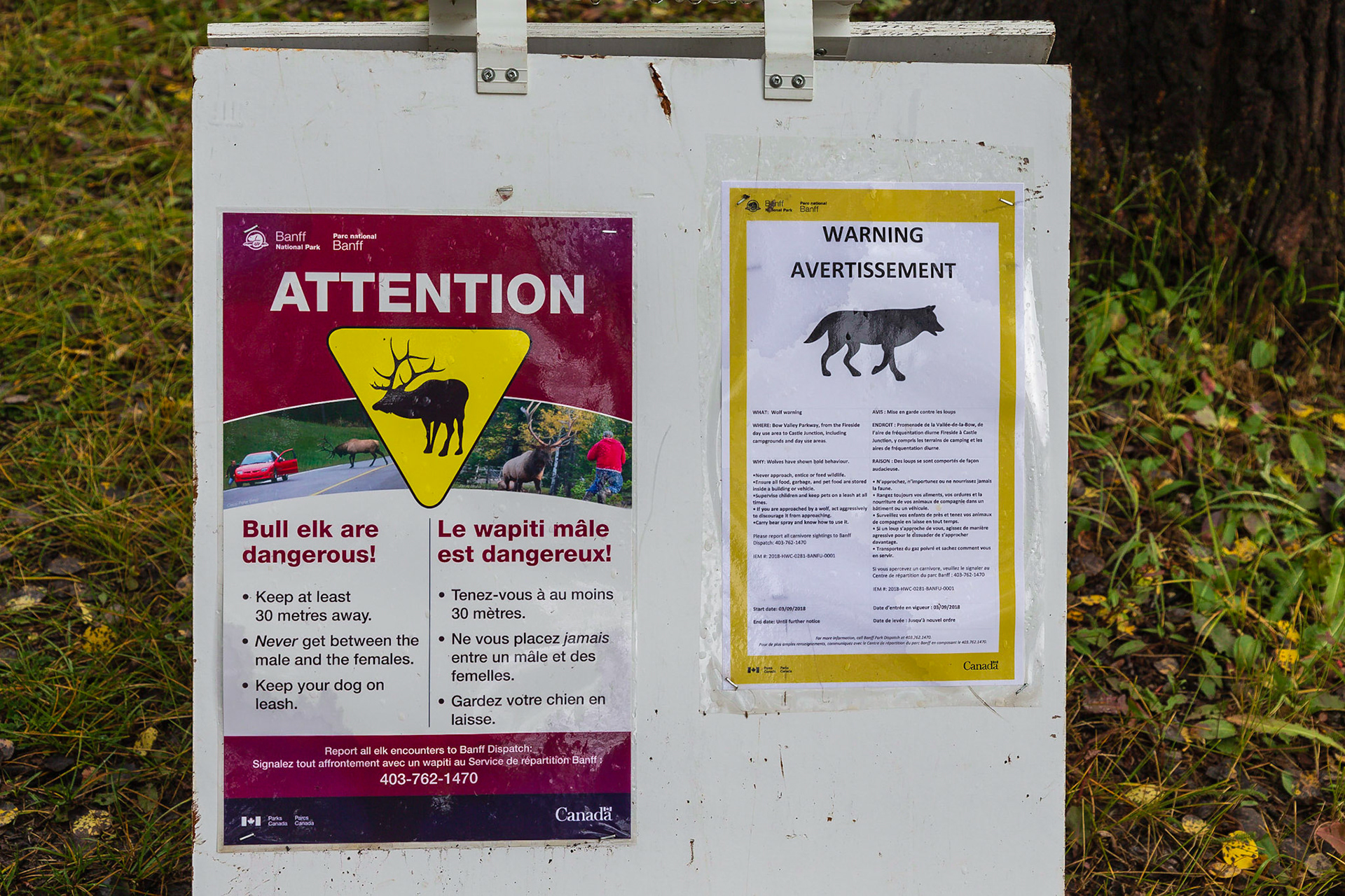 Von Banff nach Lake Louise - rechts und links des Hwy 1A