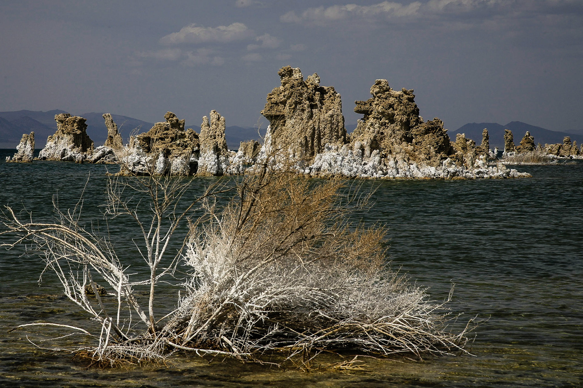 Nahe Lee Vining, California / USA