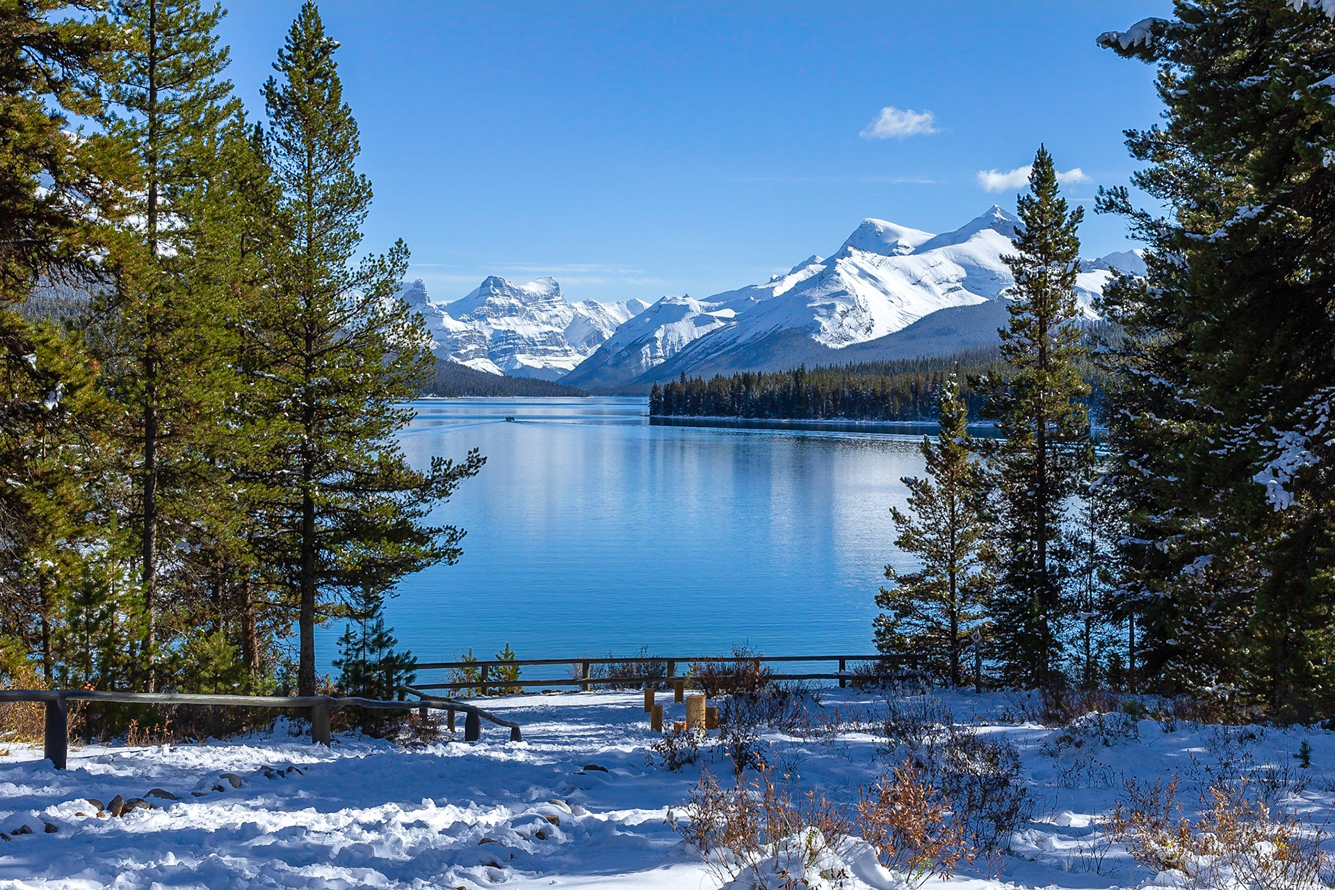Maligne Lake, Alberta Canada