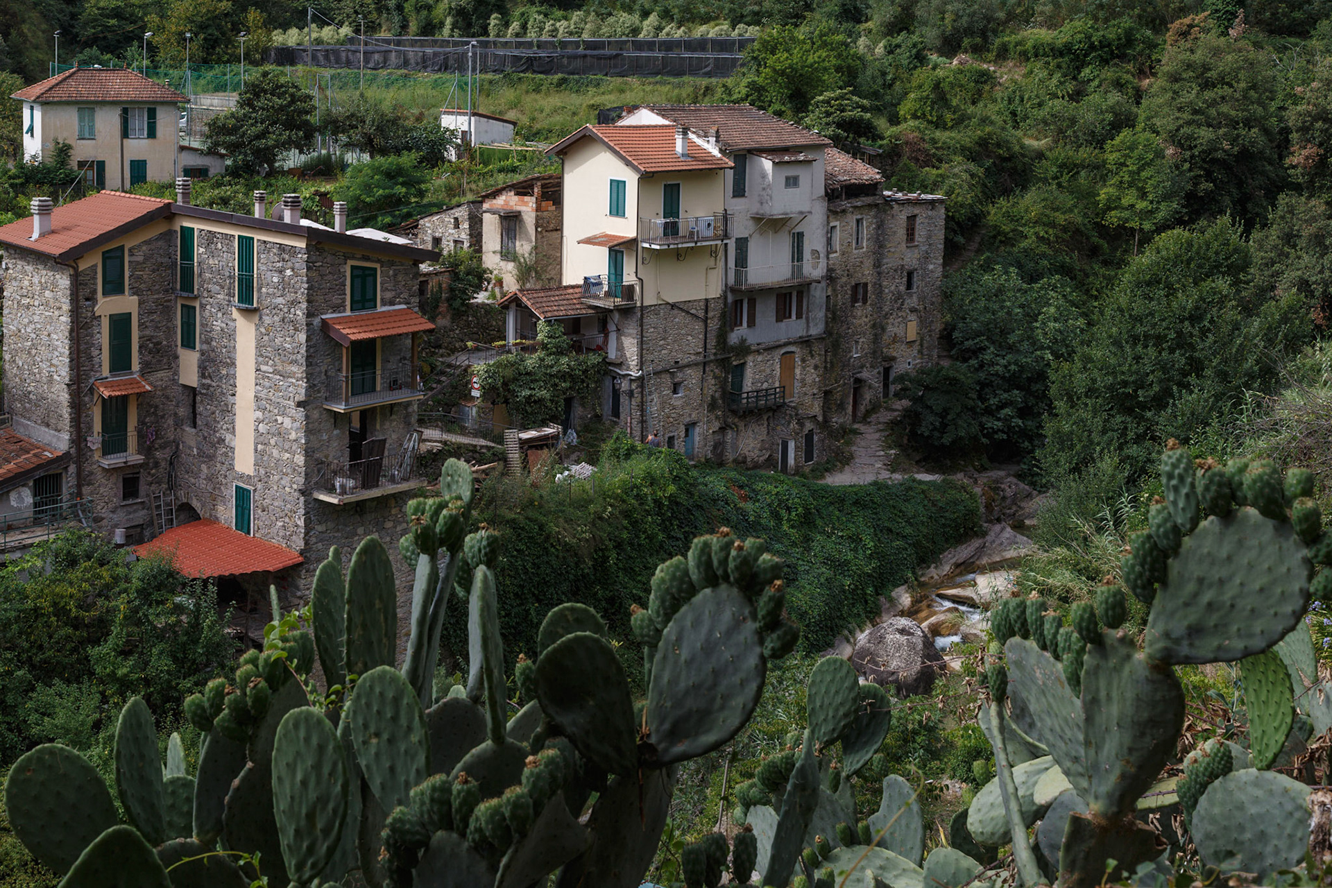 Rocchetta Nervina