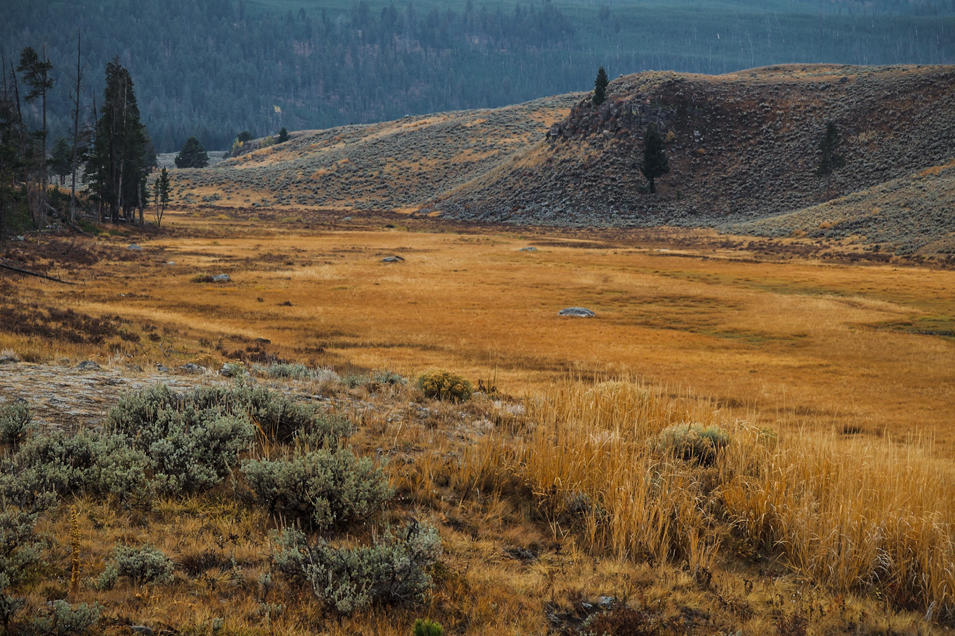 Yellowstone - Variationen