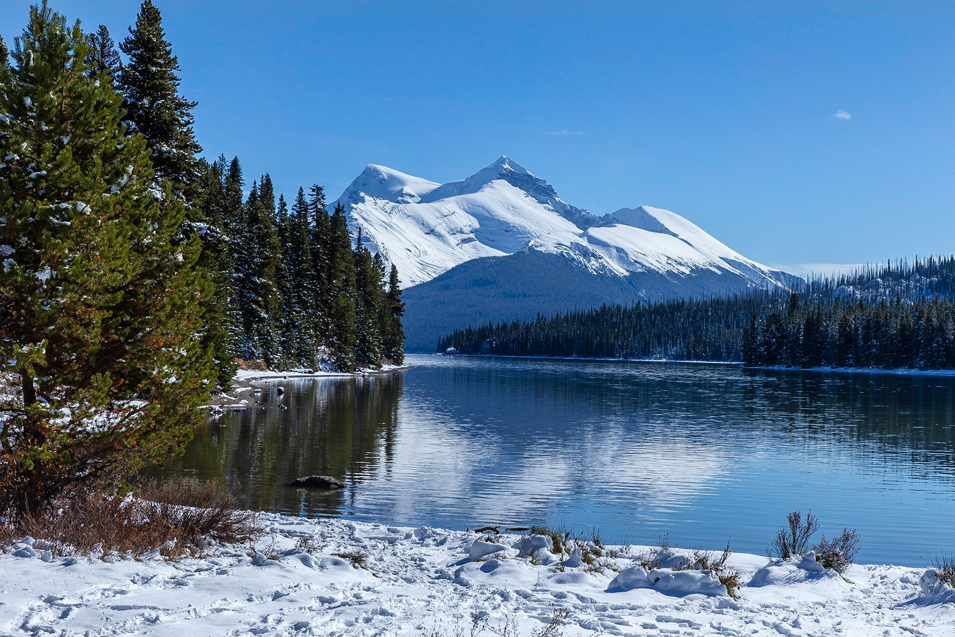 Maligne Lake, Alberta Canada