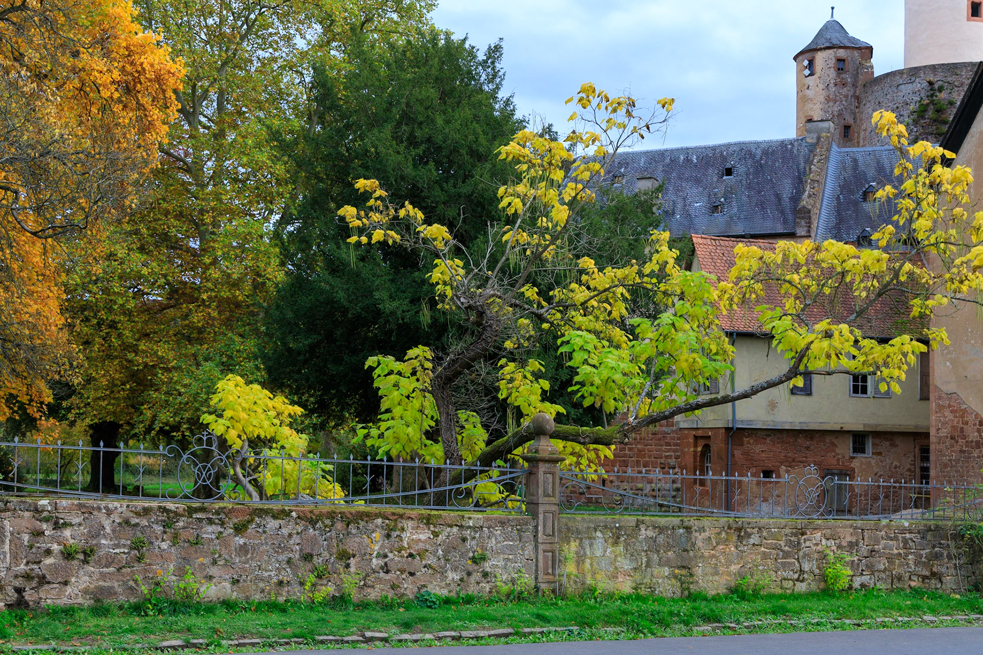 Büdingen im goldenen Oktober