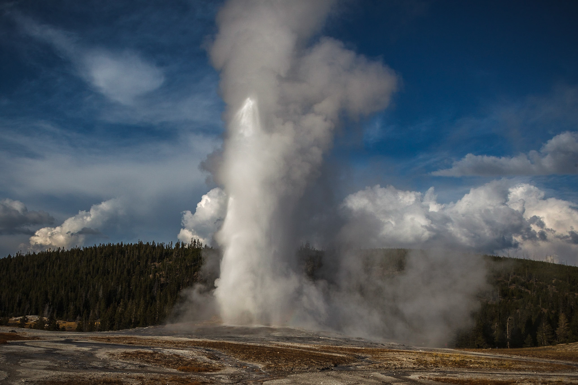 Old Faithful