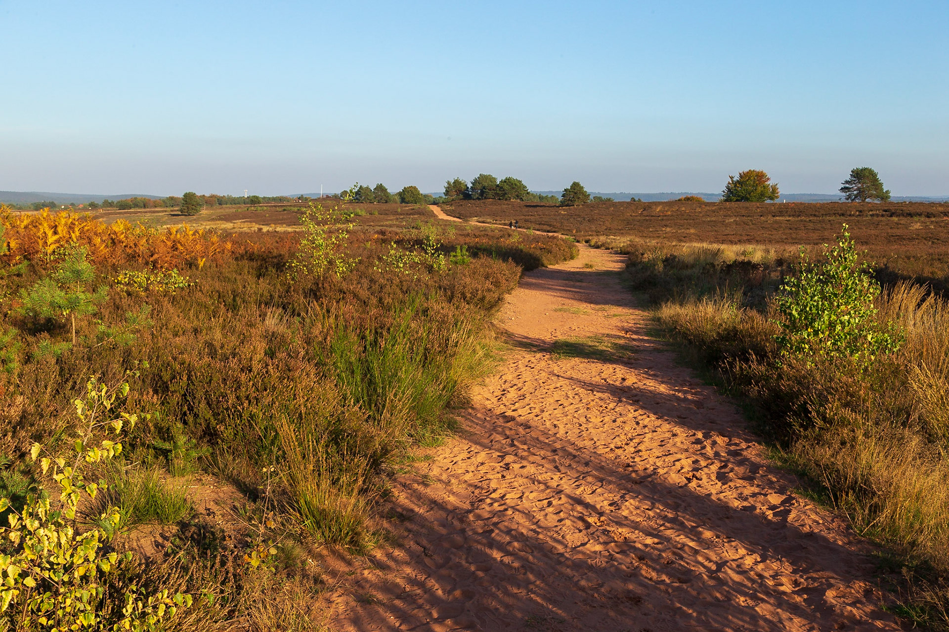 Mehlinger Heide