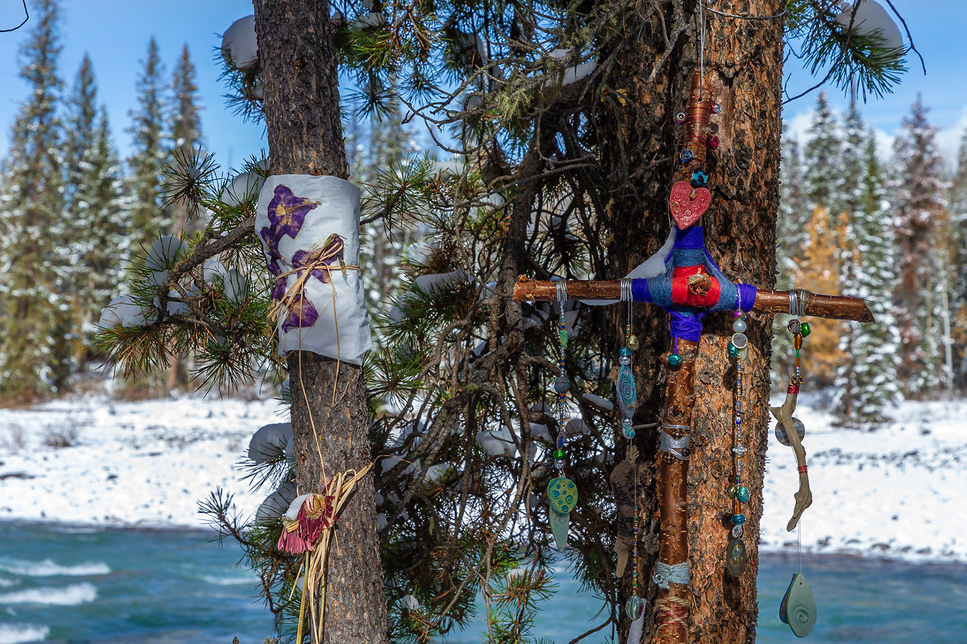 Athabasca Falls Canada West BC