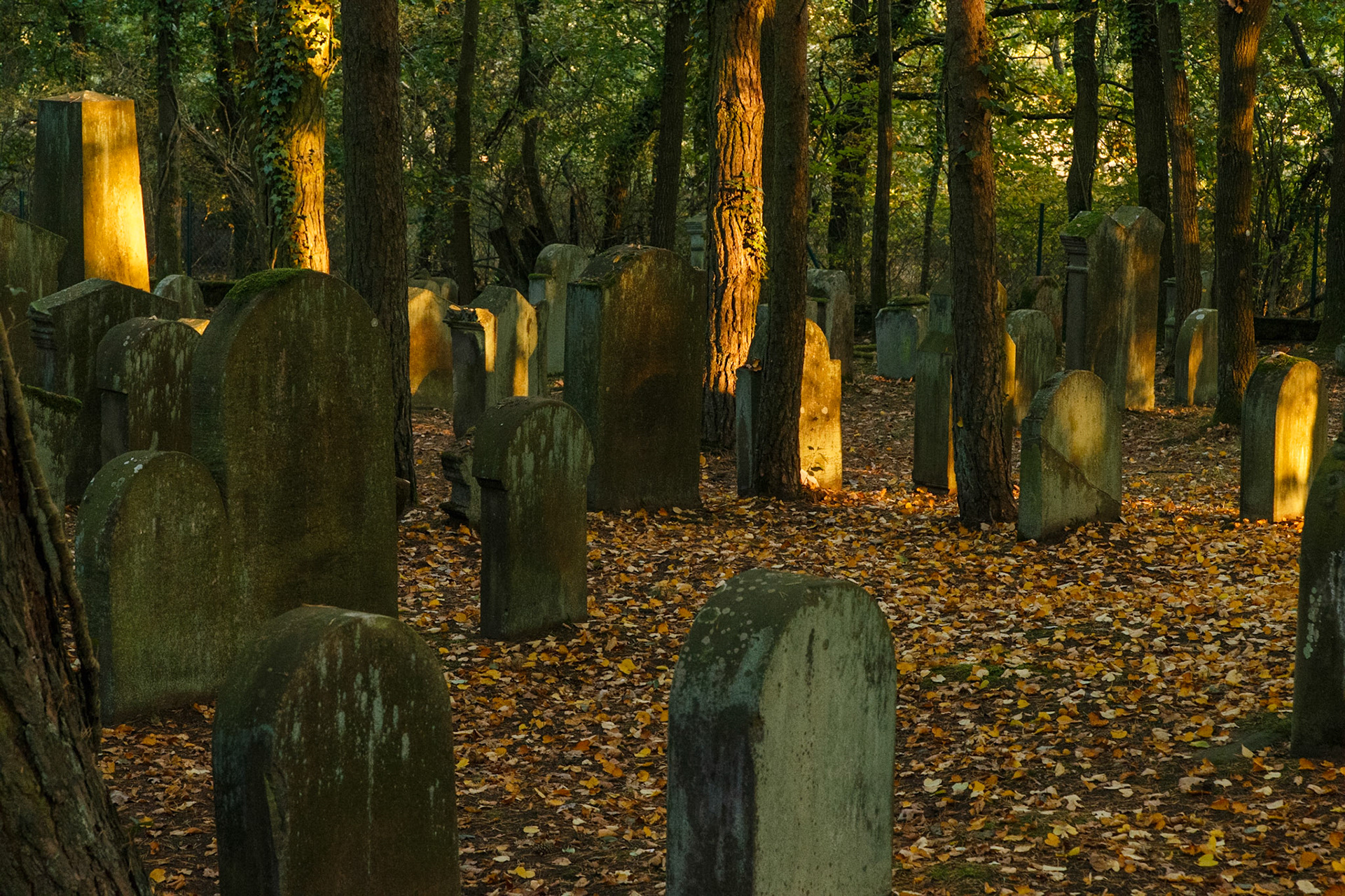 Mehlinger Heide - Alter Friedhof