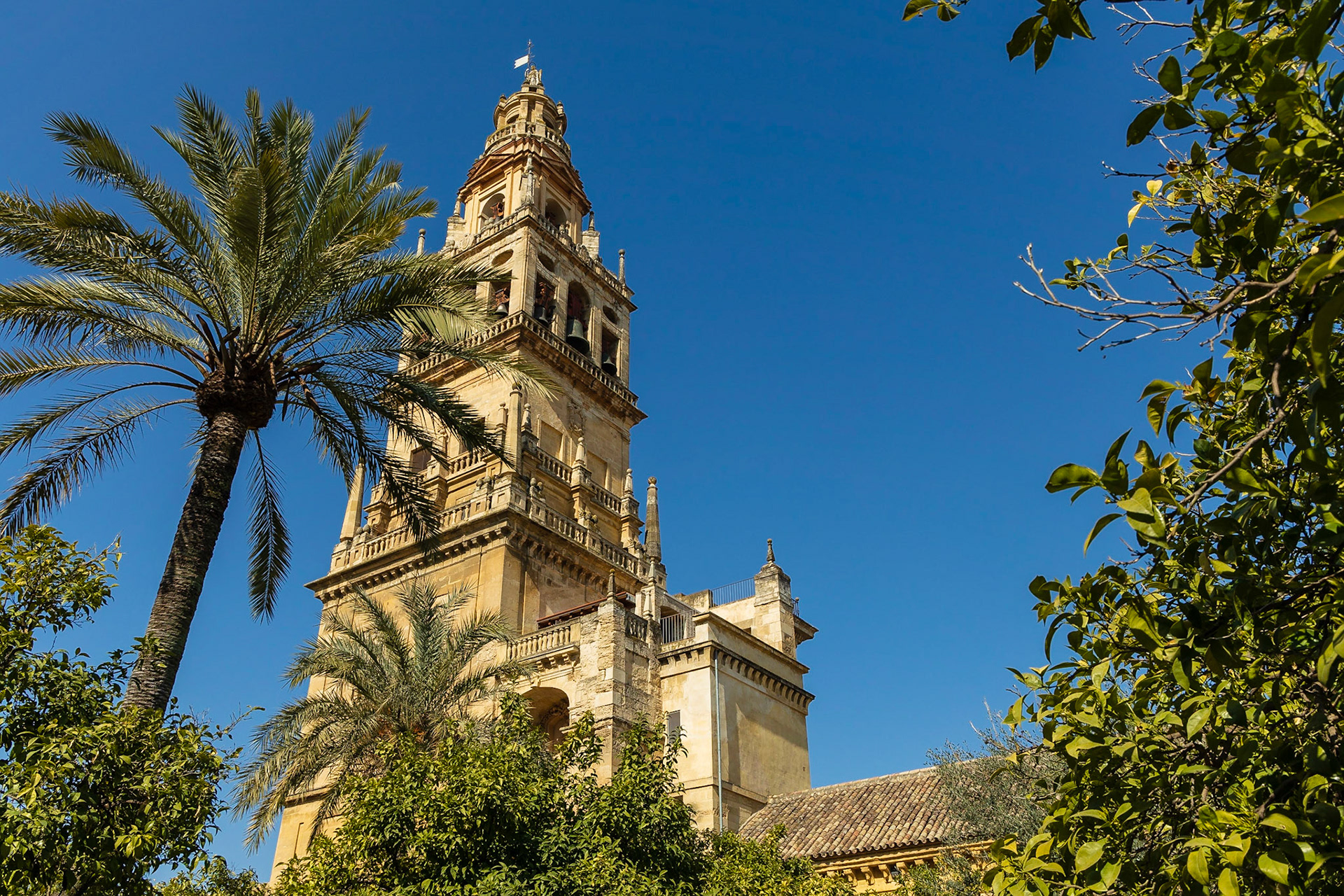Catedral de Córdoba
