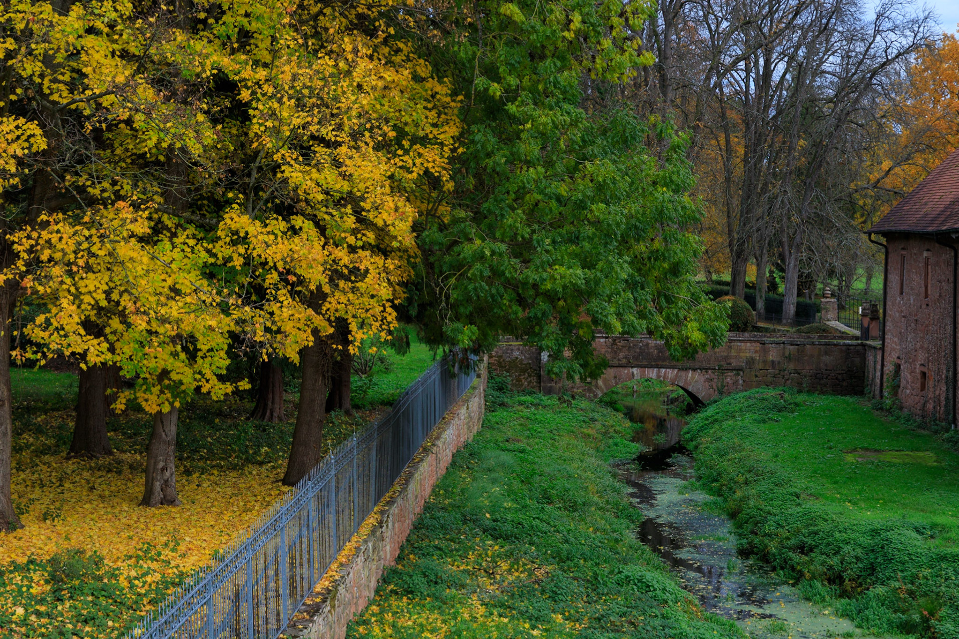 Büdingen im goldenen Oktober