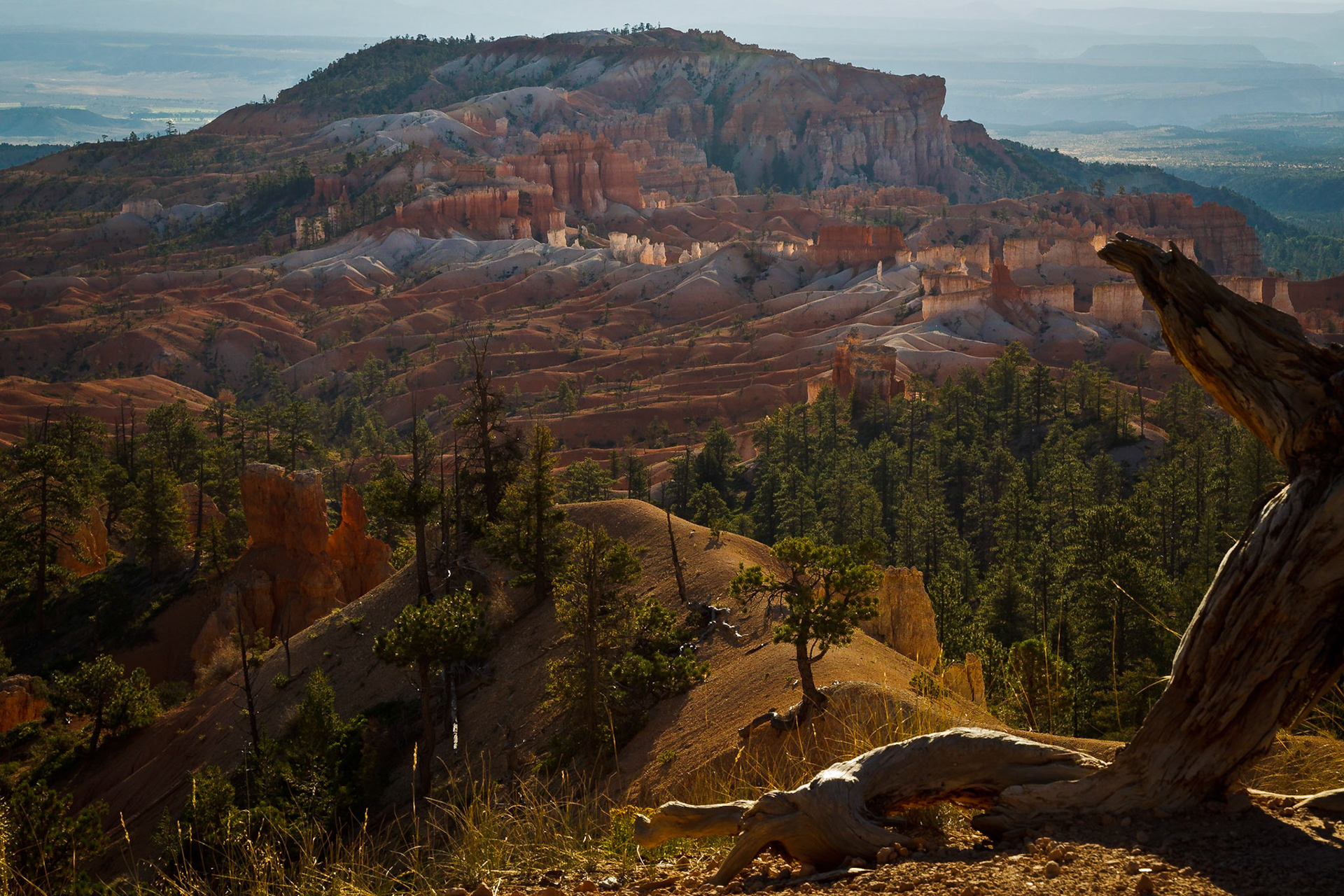 Bryce NP Utah