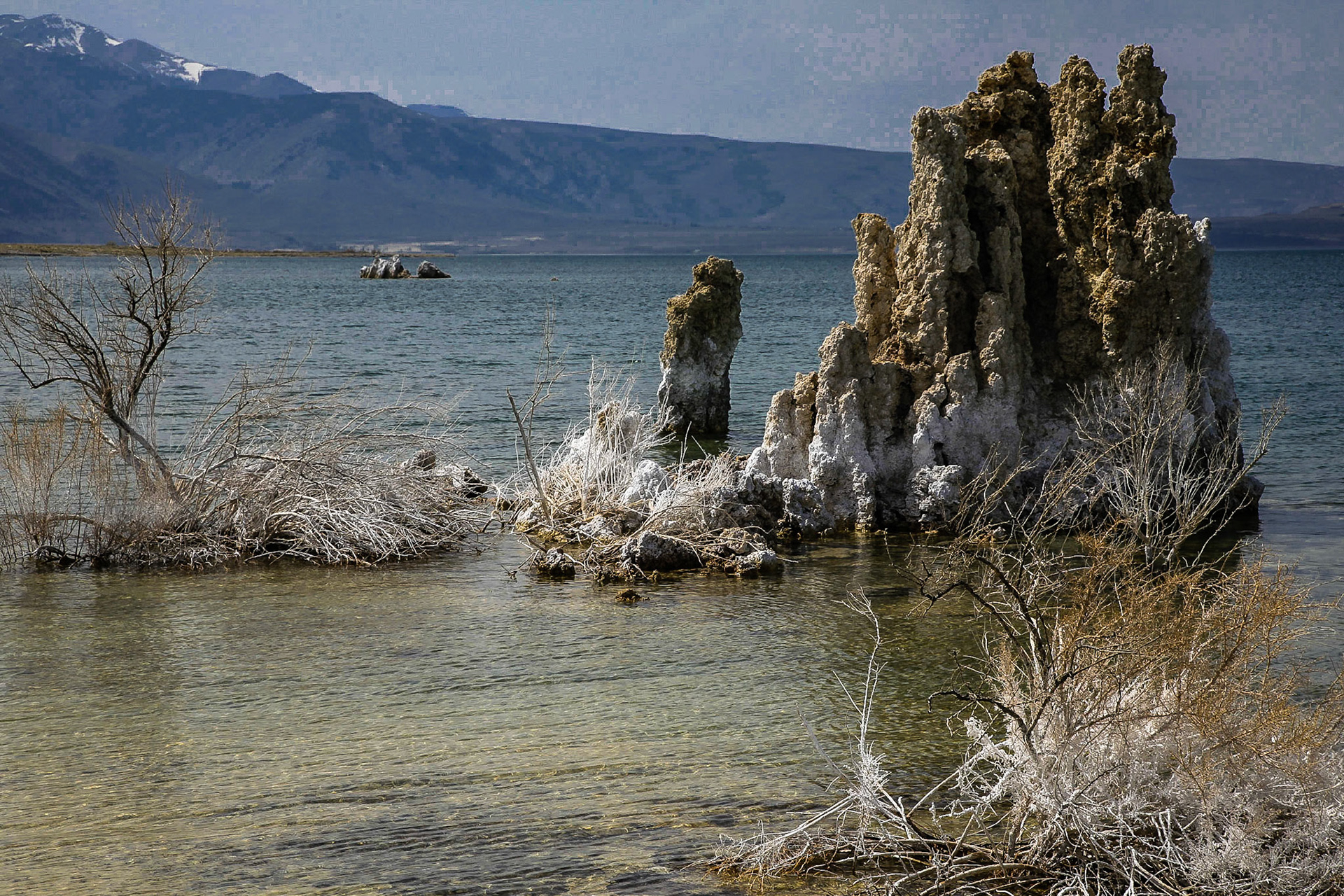 Nahe Lee Vining, California / USA