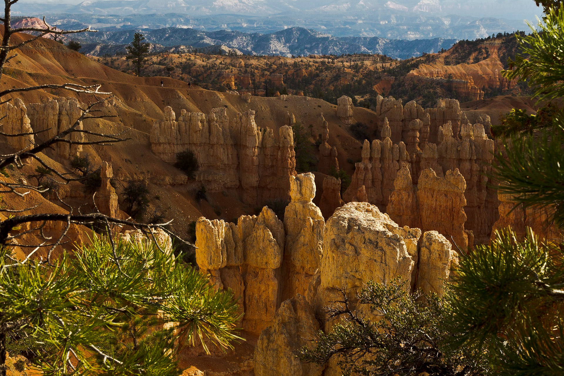 Bryce NP Utah