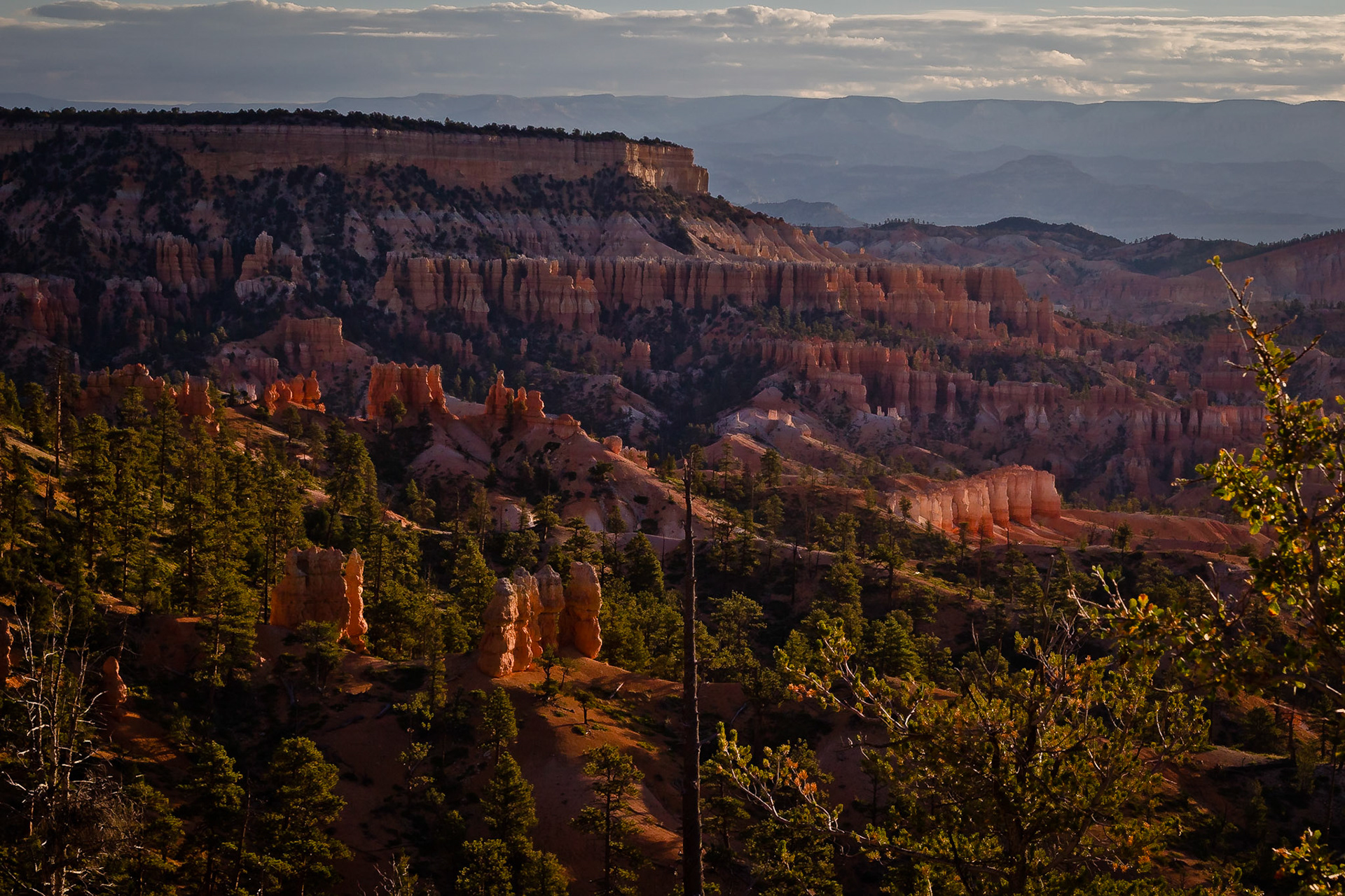 Bryce NP Utah