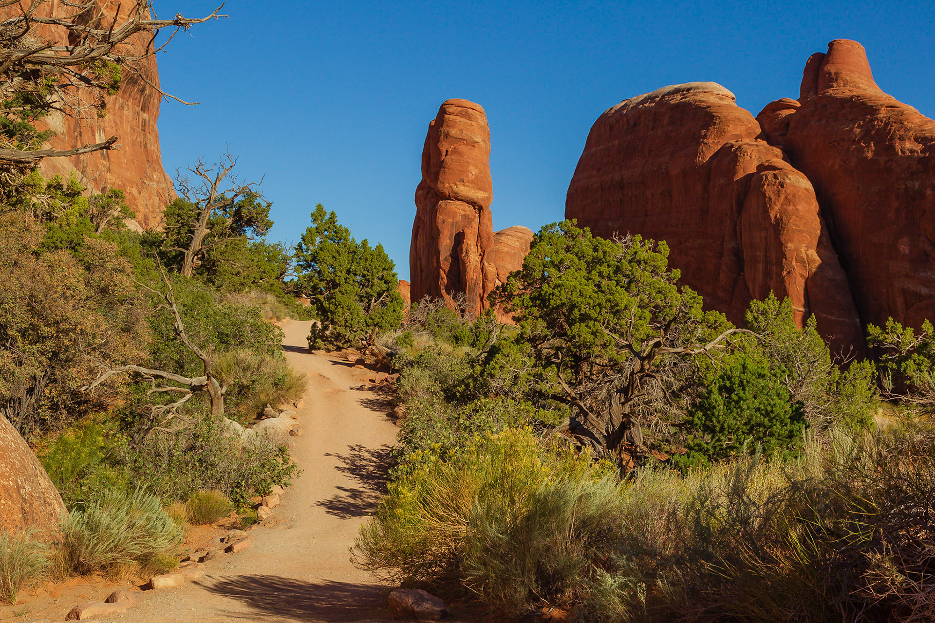 Arches National Park