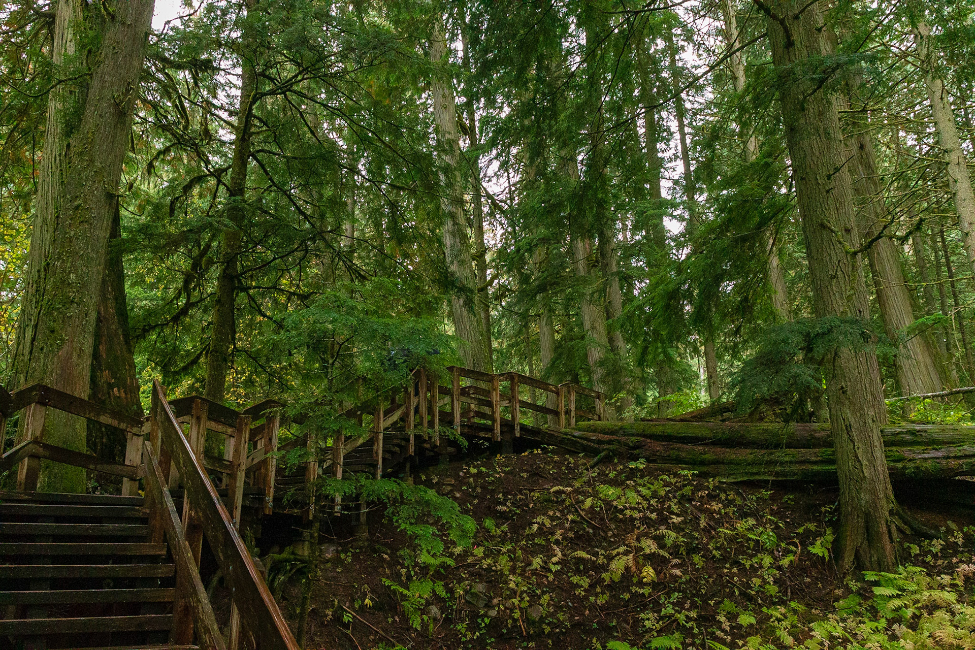 Mount Revelstoke National Park