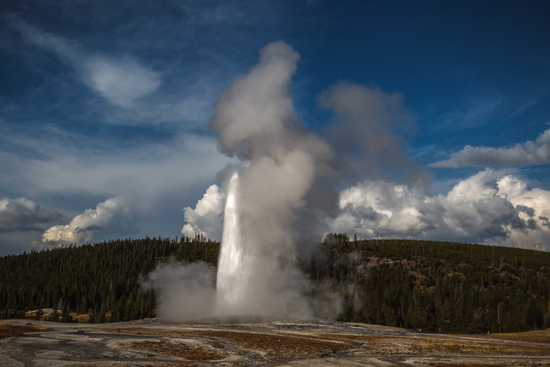 Old Faithful