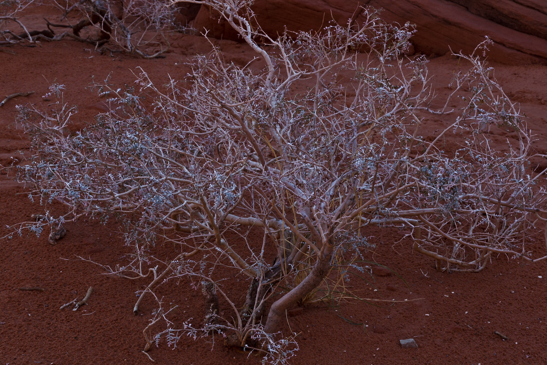 Valley of Fire