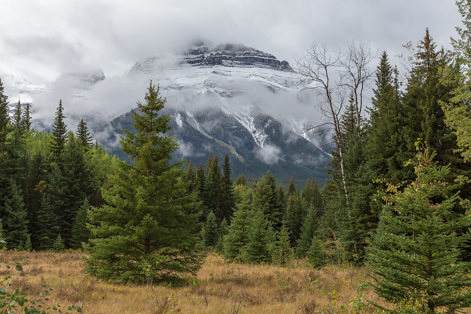 Von Banff nach Lake Louise - rechts und links des Hwy 1A