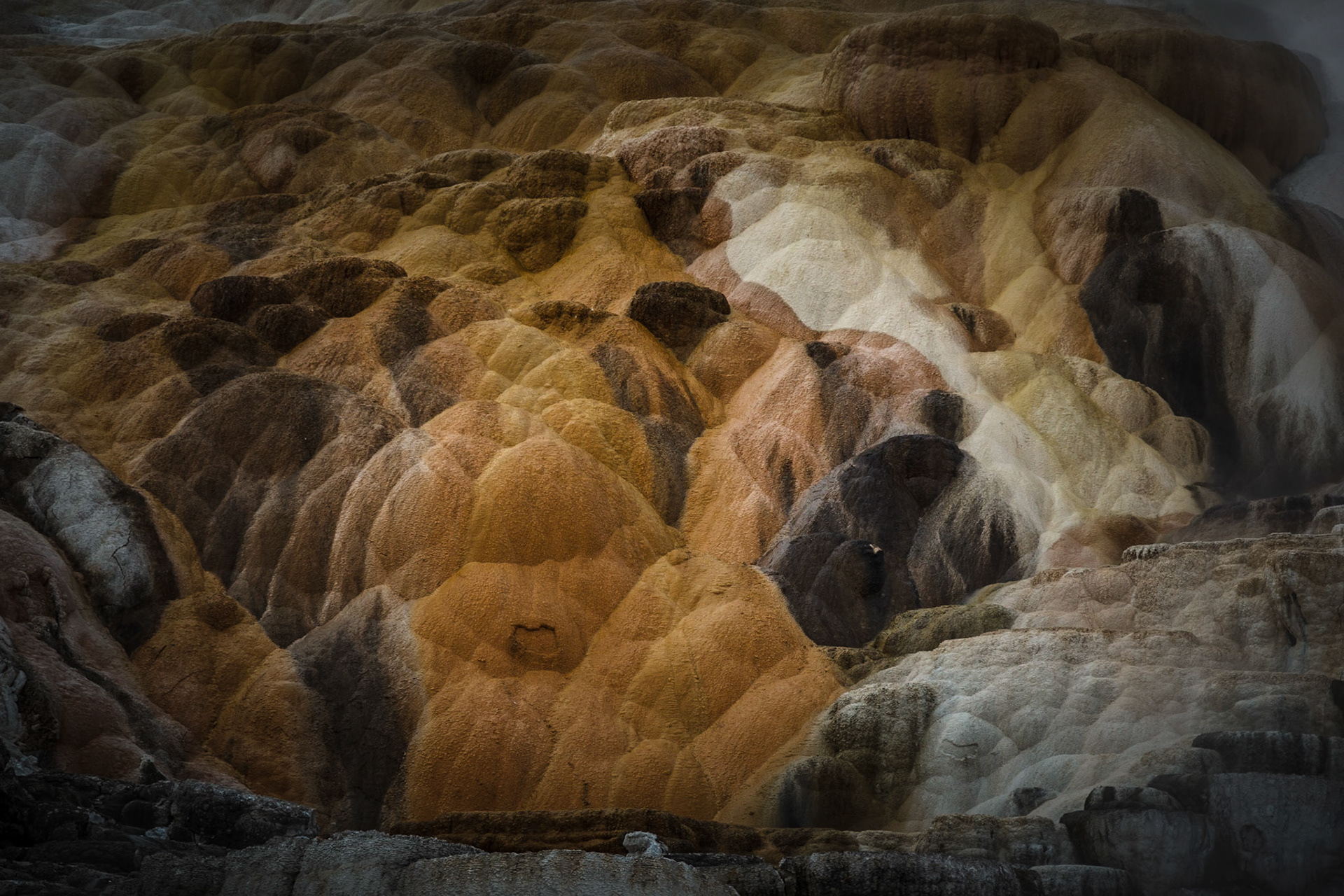 Mammoth Hot Springs