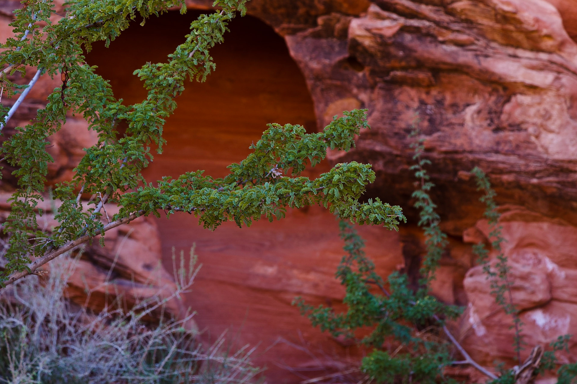 Valley of Fire