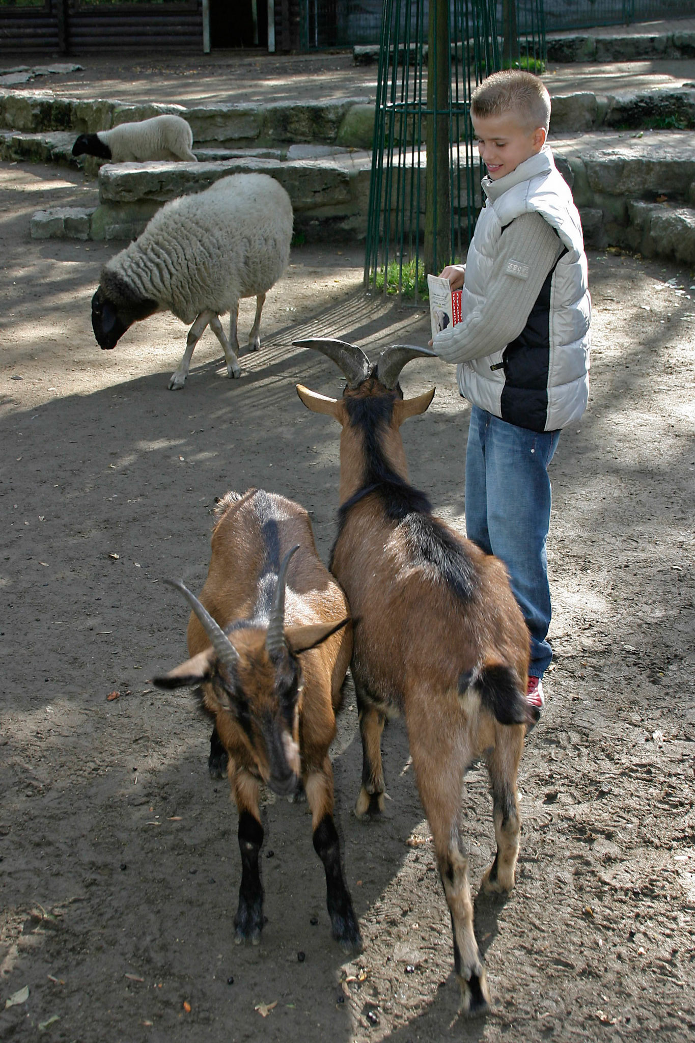 Opelzoo
