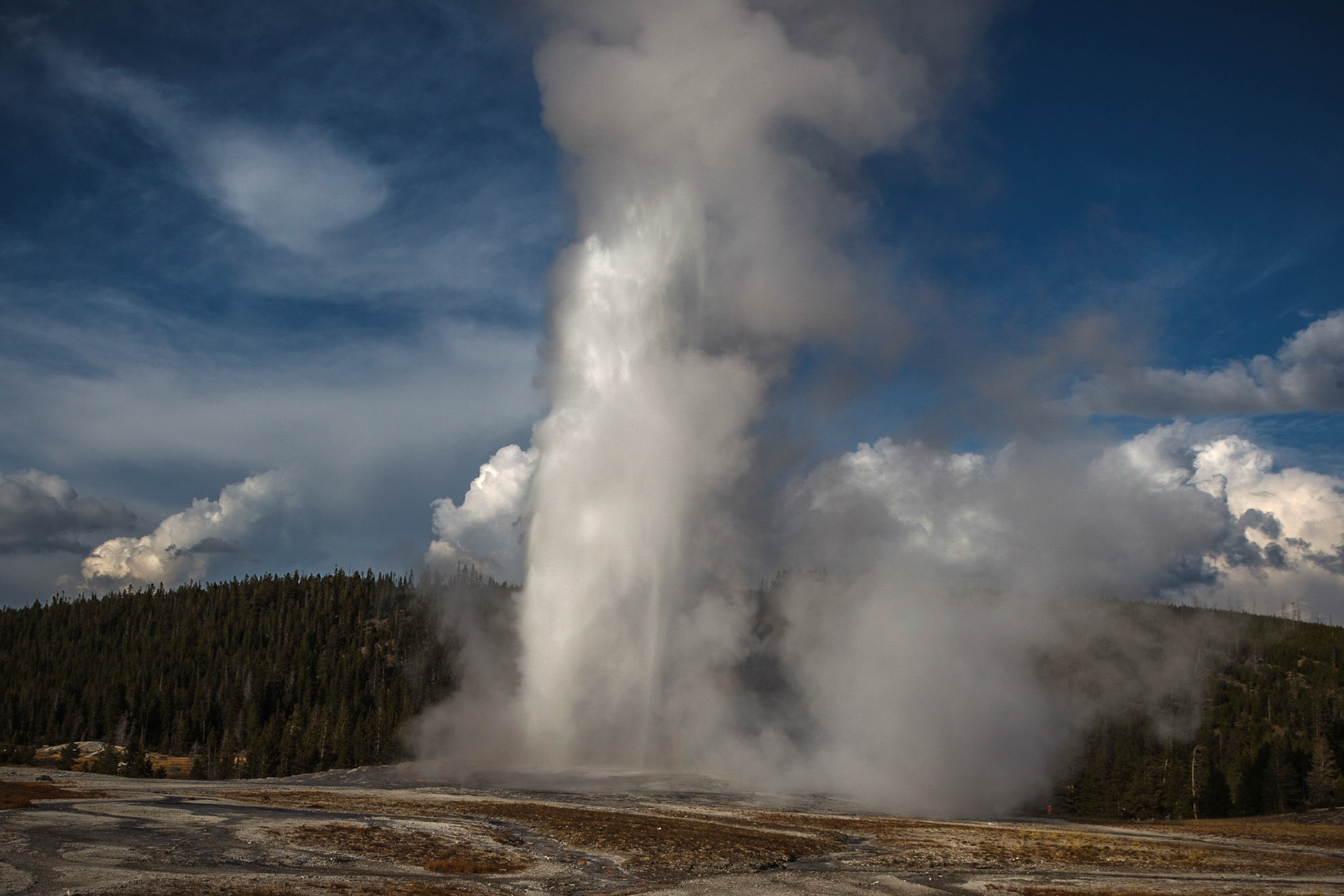 Old Faithful