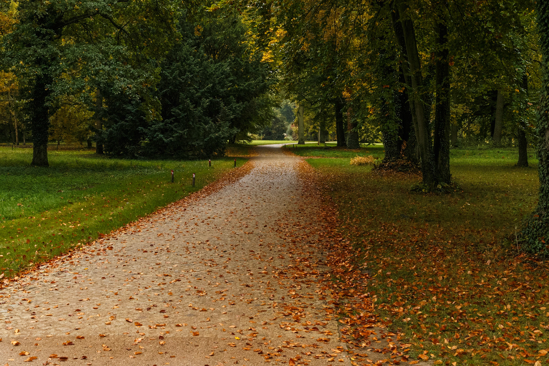 Herbstlicher Schlosspark Sanssouci