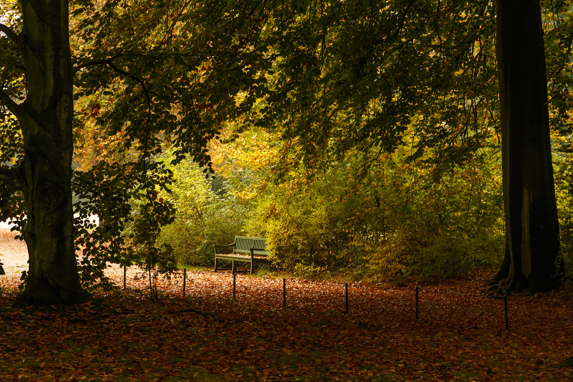 Herbstlicher Schlosspark Sanssouci