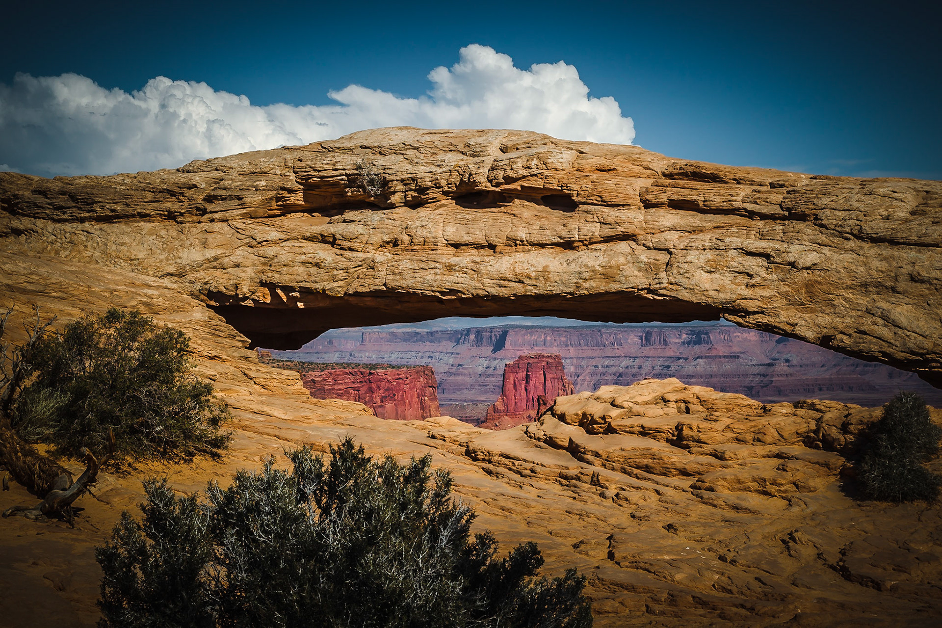 Mesa Arch