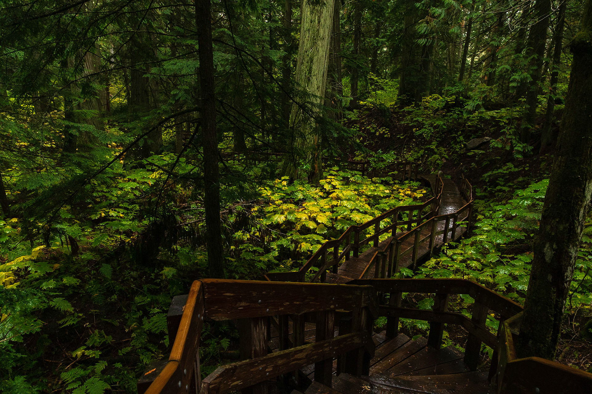 Mount Revelstoke National Park