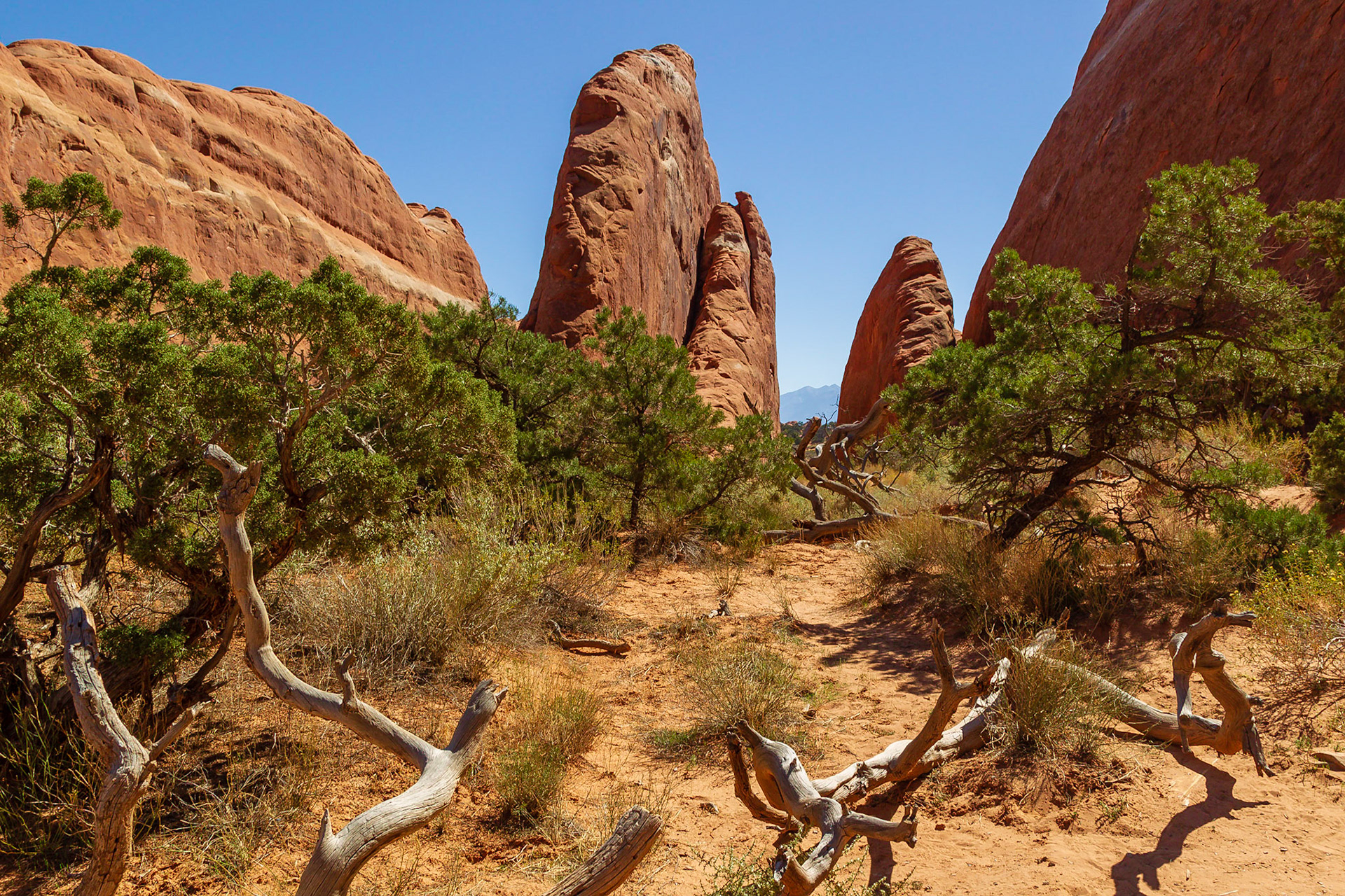Arches National Park
