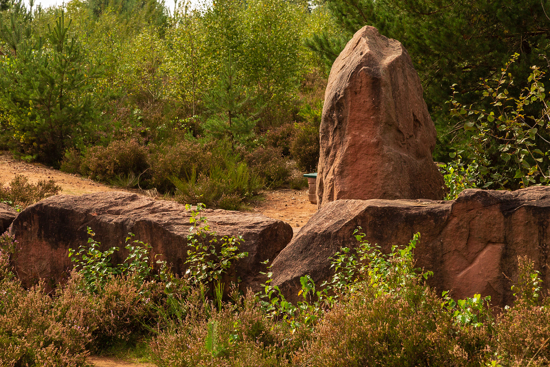 Mehlinger Heide