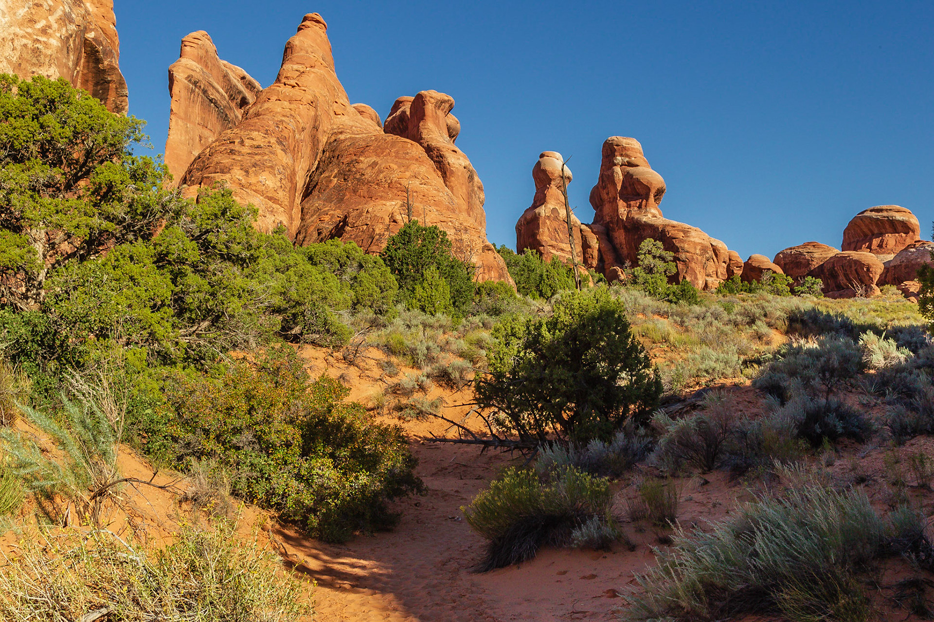 Arches National Park