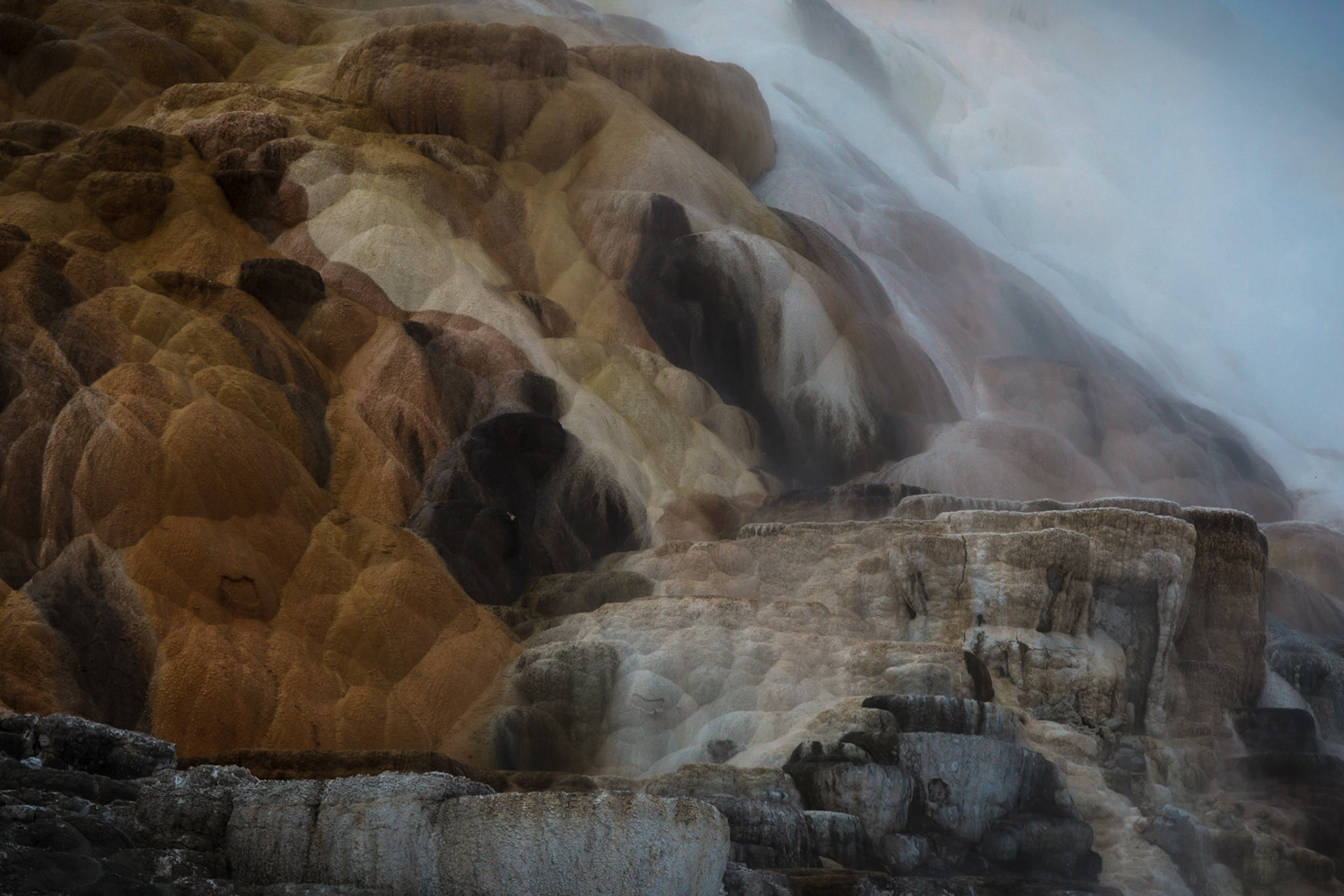 Mammoth Hot Springs